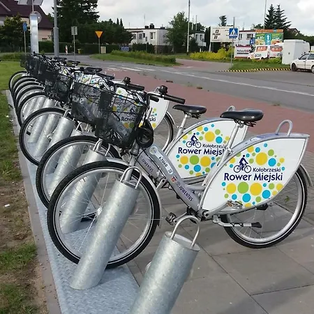 Na Glogowej 公寓 科沃布热格